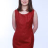 YSI Presenters Image